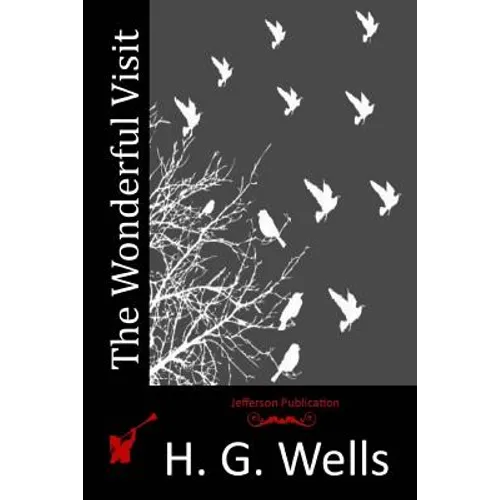 The Wonderful Visit
