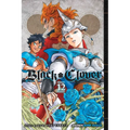Black Clover, Vol. 12: The Briar Maiden's Melancholy