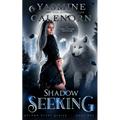 Shadow Seeking: An Urban Fantasy Adventure