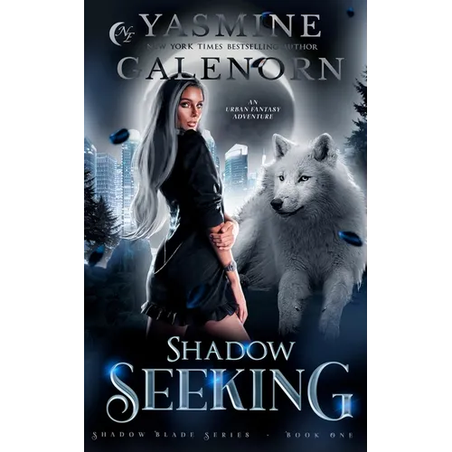 Shadow Seeking: An Urban Fantasy Adventure