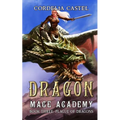 Dragon Mage Academy: Plague of Dragons