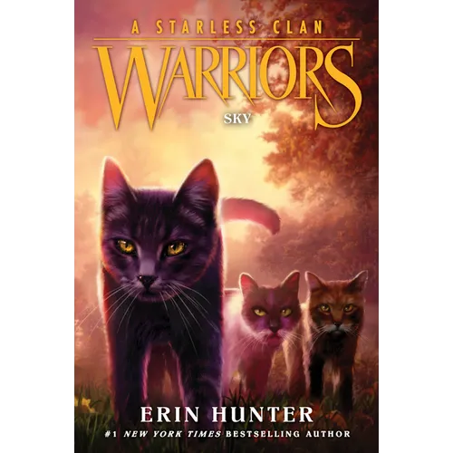 Warriors: A Starless Clan #2: Sky