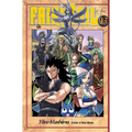 Fairy Tail V13
