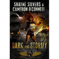 Dark and Stormy: Phantom Queen Book 4 - A Temple Verse Series