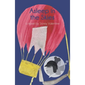 Asleep in the Skies: A Novel by Sonny Valentine