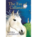 The Eye of Callanish