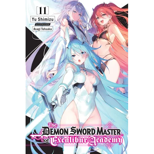 The Demon Sword Master of Excalibur Academy, Vol. 11 (Light Novel): Volume 11