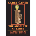 The Absolute at Large