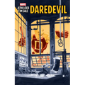 Jeph Loeb & Tim Sale: Daredevil