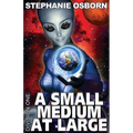 A Small Medium At Large