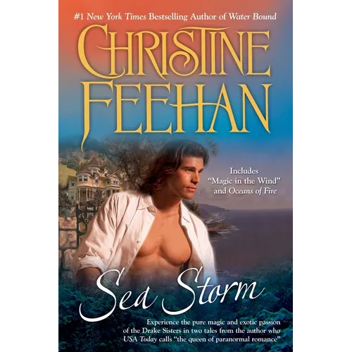 Sea Storm