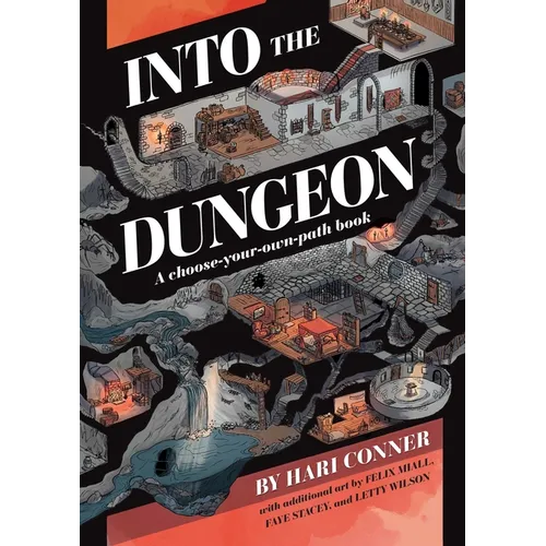 Into the Dungeon: A Choose-Your-Own-Path Book