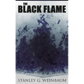 The Black Flame: Dystopian Novel