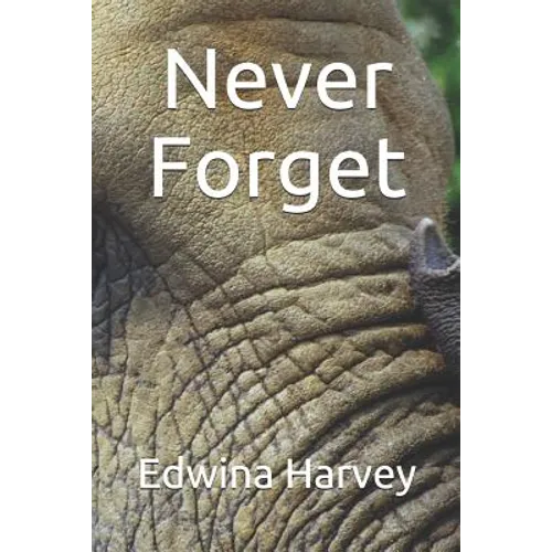 Never Forget: a novelette