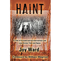 Haint: A Tale of Extraterrestrial Intervention and Love Across Time and Space