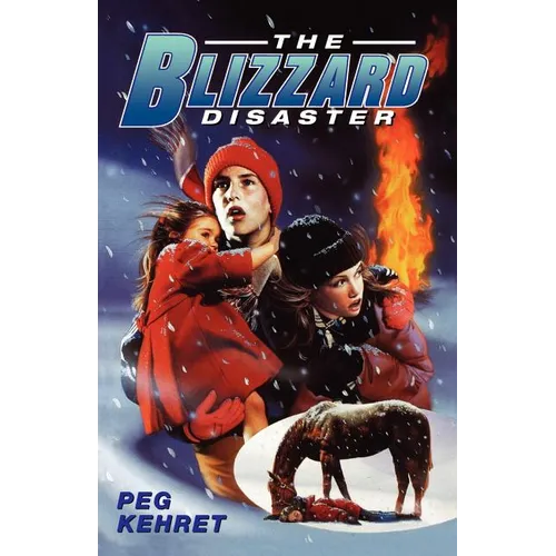 The Blizzard Disaster