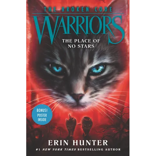 Warriors: The Broken Code: The Place of No Stars