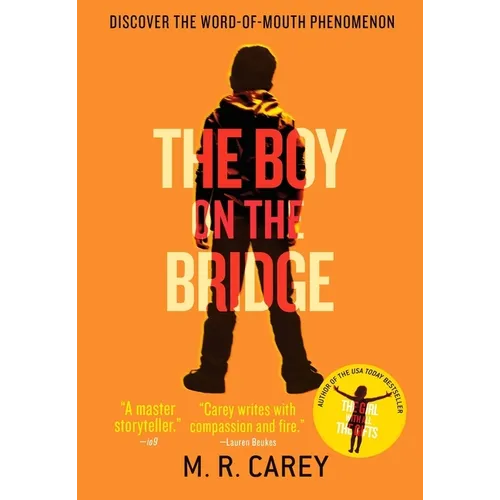 The Boy on the Bridge