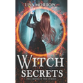 Witch Secrets: A Fantasy Young Adult Series