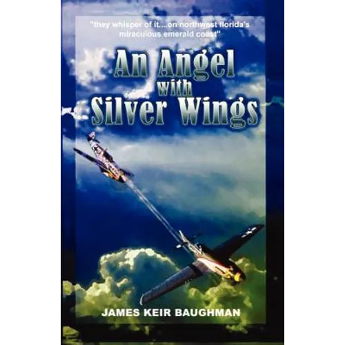 An Angel With Silver Wings