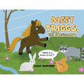 Meet Triggs, the Horse-A-Roo: What's a Horse-A-Roo