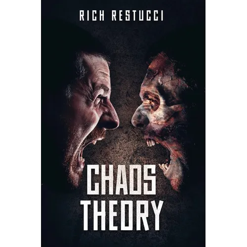 Chaos Theory
