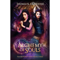 Alchemy of Souls