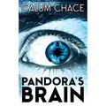 Pandora's Brain