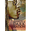 Birth of a Dark Nation