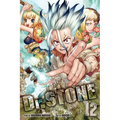 Dr. Stone, Vol. 12: The Secret of Petrification