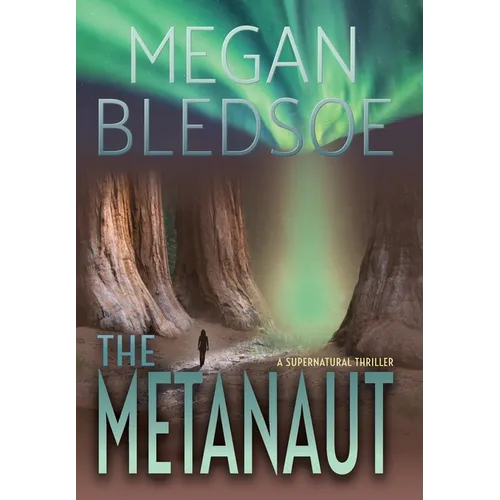 The Metanaut: a supernatural thriller