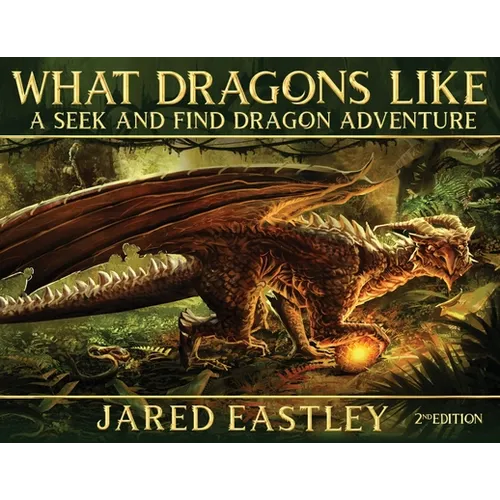 What Dragons Like: A Seek and Find Dragon Adventure