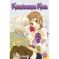 Kamisama Kiss, Vol. 12