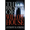The Haunting of Willow House