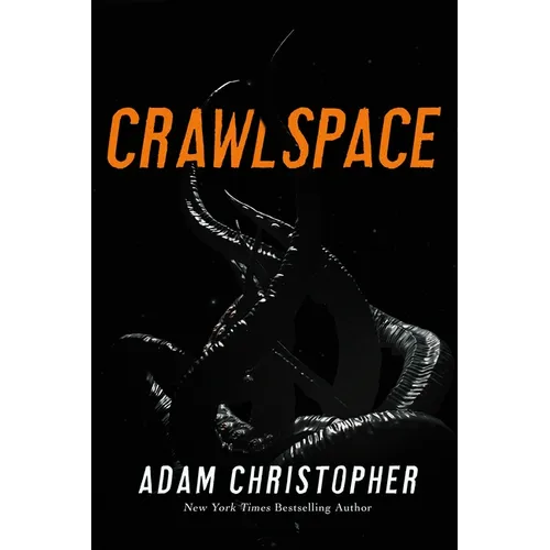 Crawlspace