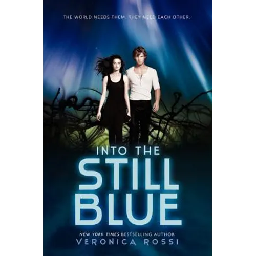 Into the Still Blue