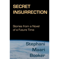 Secret Insurrection: Stories from a Novel of a Future Time
