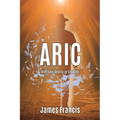 Aric: Alternate Reality in Creation
