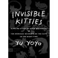 Invisible Kitties: A Feline Study of Fluid Mechanics or the Spurious Incidents of the Cats in the Night-Time