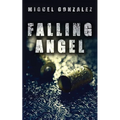 Falling Angel