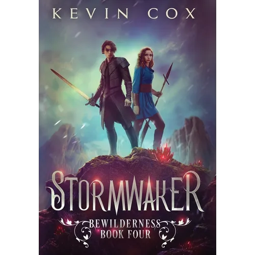 Stormwaker: Bewilderness Book Four