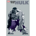 Jeph Loeb & Tim Sale: Hulk