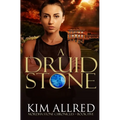A Druid Stone: A Time Travel Romance Adventure
