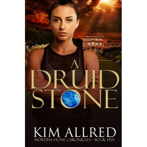 A Druid Stone: A Time Travel Romance Adventure