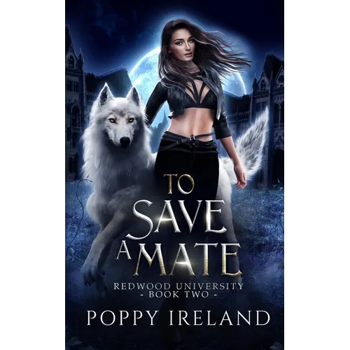 To Save a Mate: A Fated Mates Shifter Romance