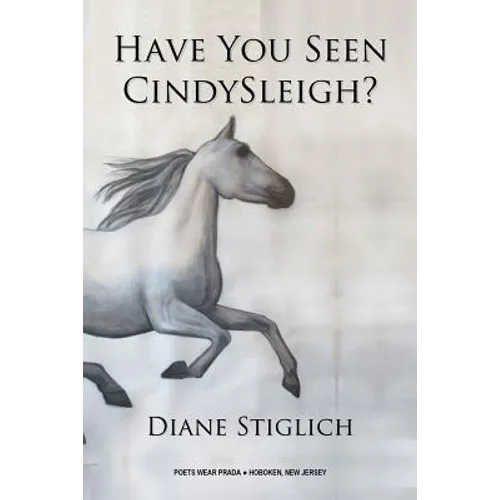 Have You Seen CindySleigh?