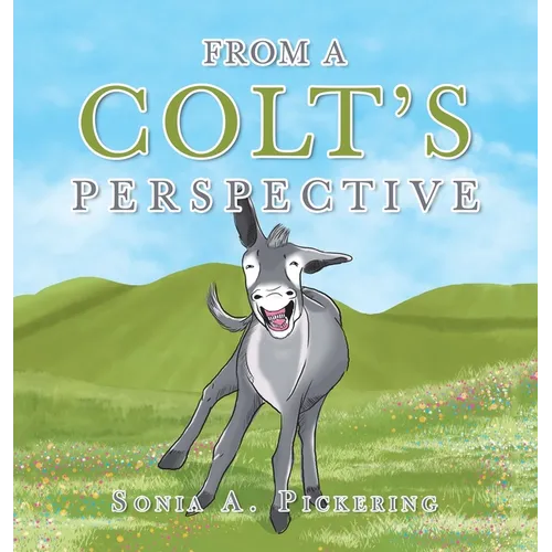 From a Colt's Perspective
