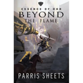 Beyond the Flame: A Young Adult Fantasy Adventure
