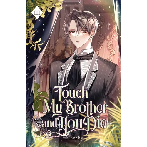 Touch My Brother and You Die: Volume III (Light Novel)