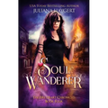 Soul Wanderer
